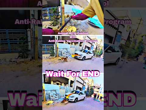 Kitne speed se aaya kutta #dog #dogwithpublicsafety #ytviral #ytshortsindia #animals