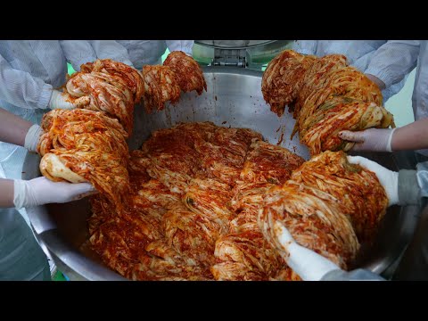 15평에서 시작해 이제는 전국 90개 매장! 김치찜 공장의 압도적인 수비드 김치찜 Korean kimchi stew mass making - Korean food factory