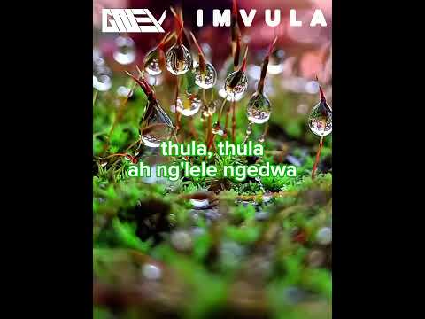 When You Have No 🍑 During Rainy Days | IMVULA #shortsmusic #romance