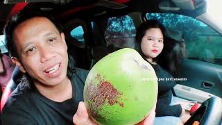 Kelapa muda 