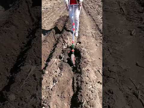 #foodproduction #amazingmachinery #automobile #foodbusiness #agriculture #farm #foodsector #farm