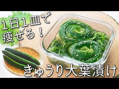 【きゅうり 大葉】これはヤバい。うますぎる! きゅうりと大葉の簡単レシピ! やみつき! きゅうり大葉漬け 作り置き常備菜 ダイエット アレンジも紹介