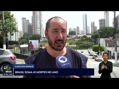 Brasil soma 41 mortes por dengue no ano