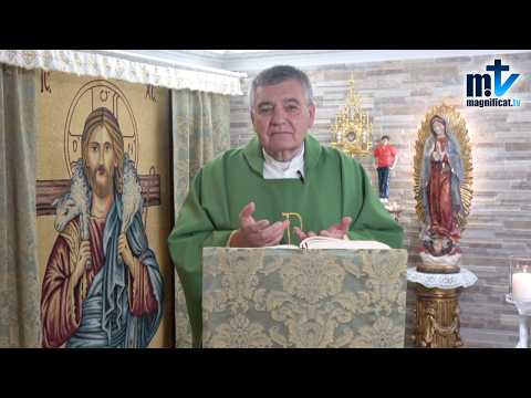 "Purifica tus Intenciones Para Hacer Actos Puros" | Homilía, Martes, XXVIII del T.O | P. Santiago M