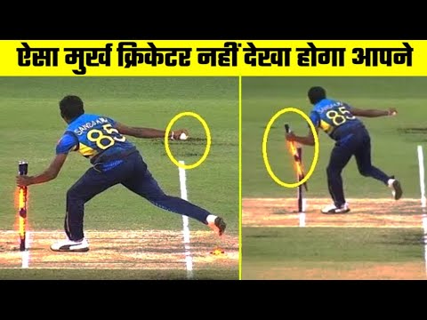 यह क्रिकेटर रन आउट करना ही भूल गए//Forgotten Runouts by cricketers in Crickrt History