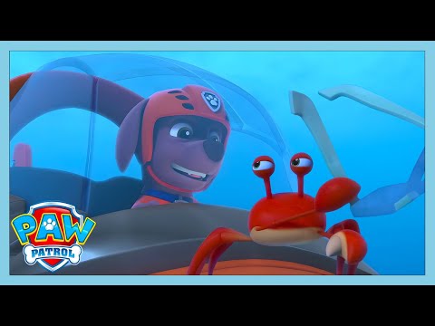 Give My Glasses Back! | Paw Patrol | WildBrain Kids