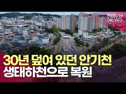 30년 덮여 있던 안기천 다시 본다…생태하천으로 복원ㅣ#헬로tv뉴스