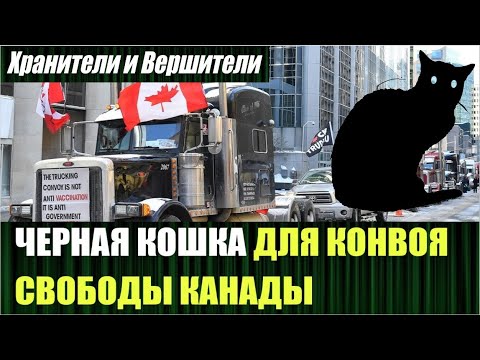 ОШИБКИ КОНВОЯ СВОБОДЫ И СОВЕТЫ КАК ИХ ИЗБЕЖАТЬ