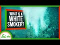 Hydrothermal Vents and the Lost City