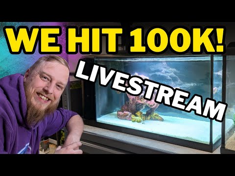 LIVE!!! We hit 100k! Another Livestream as I have really enjoyed chatting to you all!

Massive shout out to  @NTLabsOffic