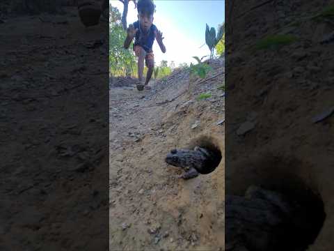 Survival Skills: SIMPLE and USEFUL. with.Trap frogs with Hammer #bushcraft #camping #outdoors
