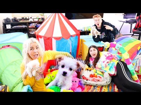 BEST PUPPY PALACE WINS $10,000!