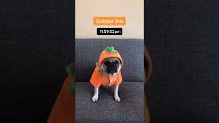 Wait for it…..