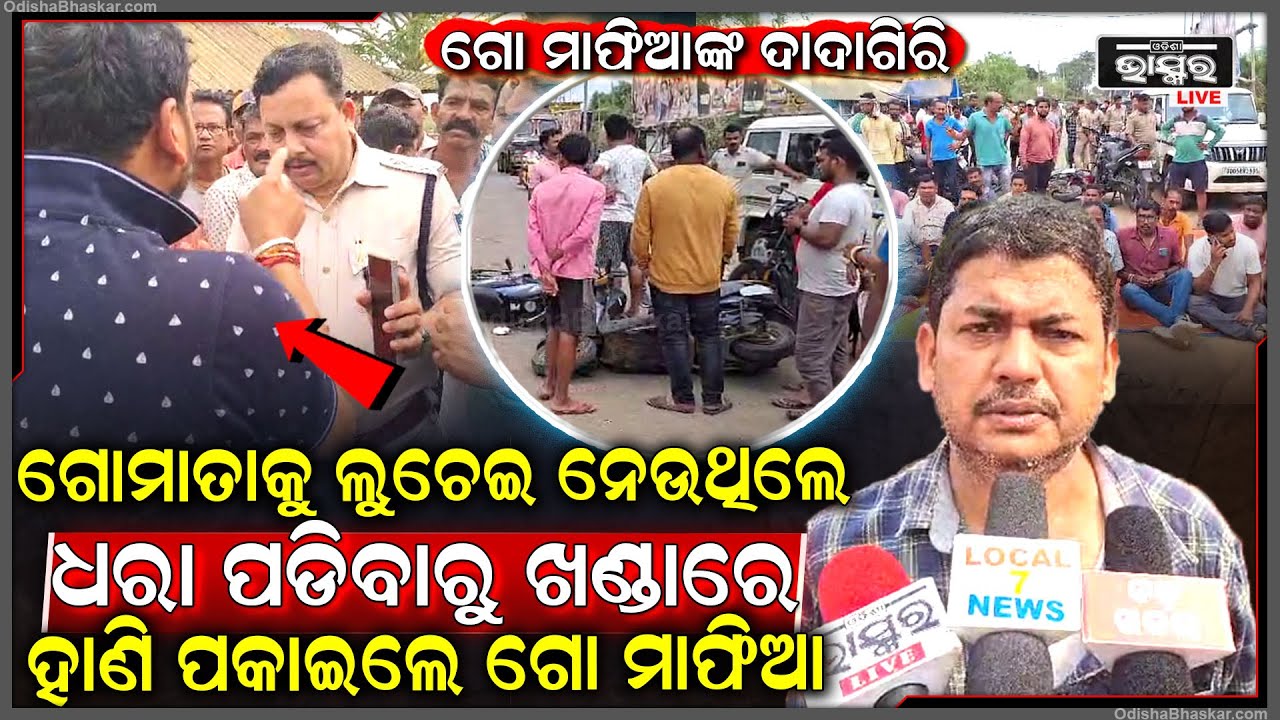 ଗୋ ମାଫିଆ ମାନଙ୍କ ଆତଙ୍କରାଜ...ବେଆଇନ ଗୋରୁ ଗାଡି ଚାଲାଣ ବେଳେ ସେଲୁନ ଦୋକାନ ଉପରେ ଚଢି ଗଲା ଗୋ ବୁଝେଇ ପିକଅପ
