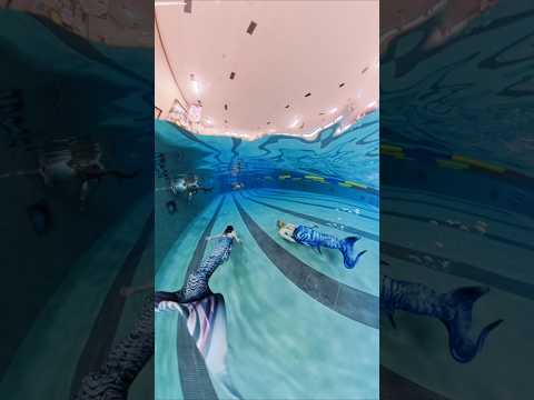 Swimming Mermaid Friends #mermaid #canada #summerofgoals #underwater #insta360 #apnea #freediving
