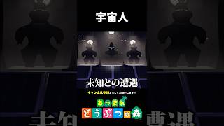 【あつ森】宇宙人が出てくる別荘が凄すぎる
