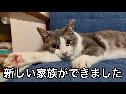 【ご報告】新しい家族ができました。