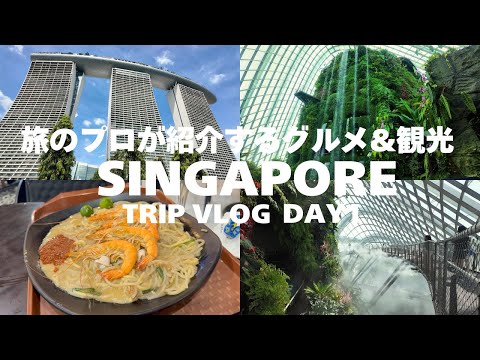 [Singapore Trip] シンガポールでグルメ&観光を1日で満喫するモデルプランをご紹介！（VLOG DAY1）