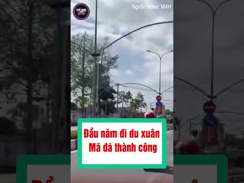 Cưỡi bạch mã du xuân cho oai và cái kết không ai ngờ tới #shorts  #tintuc24h #tintuc #tin #tin24h