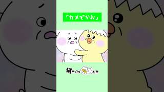 動画サムネイル