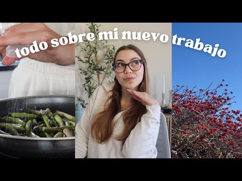 vlog | Updates sobre mi trabajo, favoritos del momento y mucha productividad ✨