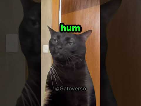 DUVIDO VOCÊ ACERTAR
