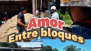 Capitulo 5 | Amor entre bloques | { La deuda } 