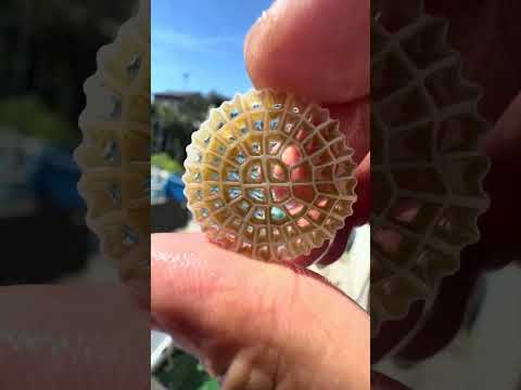 世界一の流動性炉材の仕組み