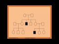 Genetic Inheritance Patterns