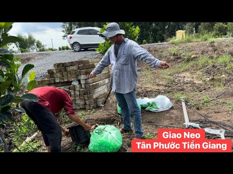 Giao neo đại gia bất động sản ở Tân Phước Tiền Giang