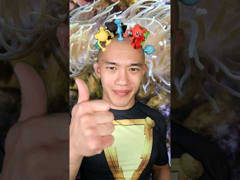 lets give it another shot ??‍?? #bitesizedbryan #ASMR  #bald #shave #anime #cosplay #shorts