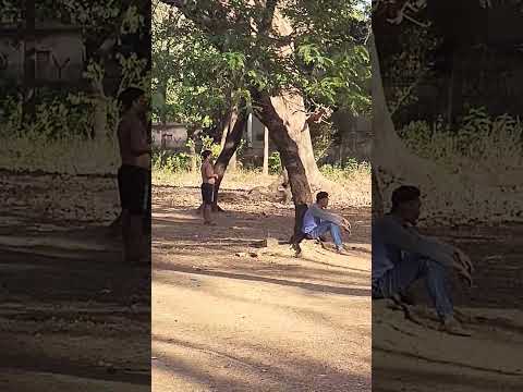 #movie #comedy #bollywood #song #love # cricket # 🥎NE LOVE # SNGP # LIKE AND SUBSCRIBE ❤️