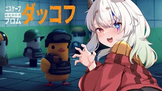 【エスケープ フロム ダッコフ 】何もない状態から物資を集め、隠れ家を豊かにし、装備を強化して、虎視眈々と迫る敵鴨から生き残るか——逃げ延び