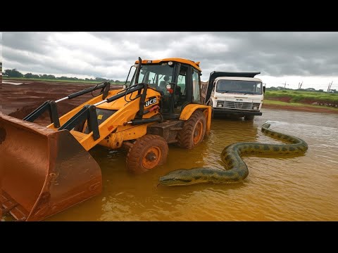 Jcb 3Dx Backhoe Loading | TATA Truck Tipper Loading Work Mitty Khudai 