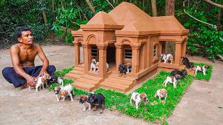 Watch How This Amazing Puppy Palace Was Built From Scratch!