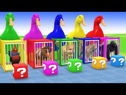 Long Slide Game With Cow Elephant Gorilla Hippopotamus Tiger 3d Animal Game Funny 3d Animals