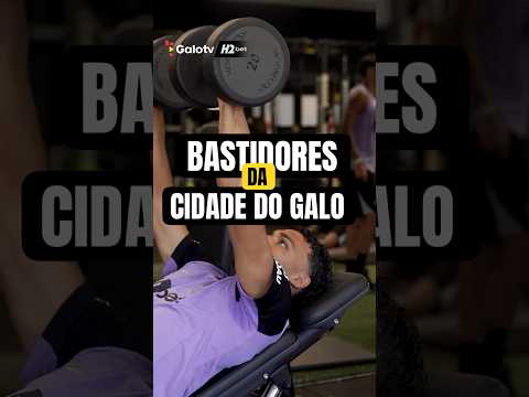 image para ilustrar o artigo