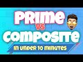 Exploring Prime and Composite Numbers
