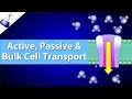 Exploring Cell Transport Mechanisms