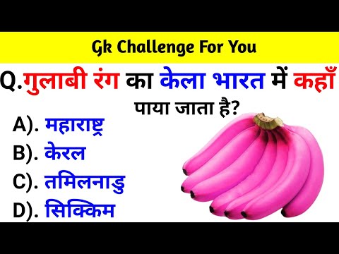 GK Question || GK In Hindi || GK Question and Answer || GK Quiz || BR GK STUDY ||