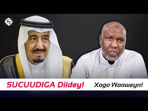 Sir La Helay Safiirka Sucuudiga ee Kenya oo Shidaalka Somalia In Dib Loo | Sh Cabdiraxmaan Bashiir