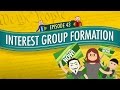 Interest Groups and Political Influence