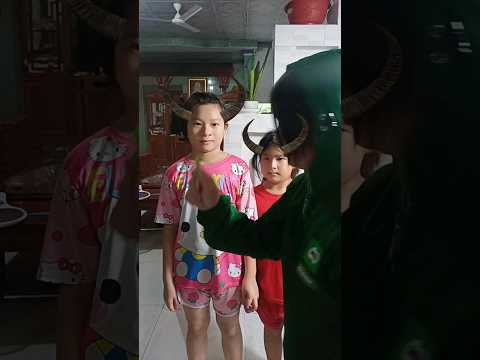 hai con trâu số nhọ #shorts