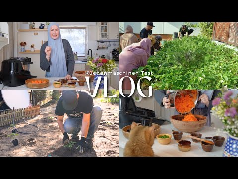 Anti-Aging Salat | Ich Teste den Cookit von Bosch | Garten Update | VLOG