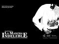 Cuestionario sobre 'La mancha indeleble'