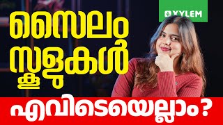 സൈലം സ്കൂളുകൾ എവിടെയെല്ലാം?? | Xylem Class 10 CBSE