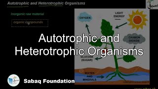 Autotrophic and Heterotrophic Organisms