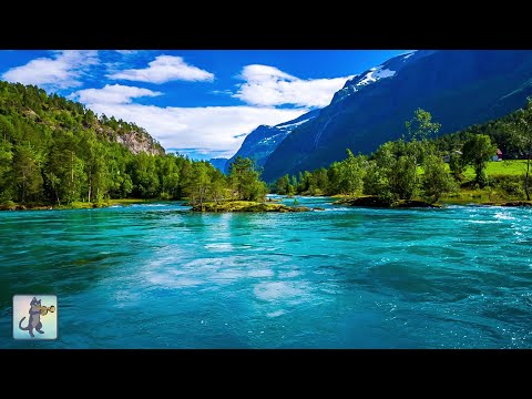 3 Hours of Amazing Nature Scenery &amp; Relaxing Music for Stress Relief.