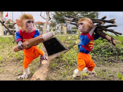 Monkey BoBo Catches Alien Watermelon Truck Thief in Farm Escape Adventures