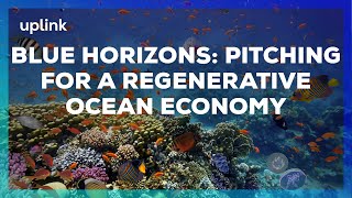 Blue Horizons: Pitching for a Regenerative Ocean Economy